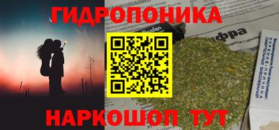 шишки Бузулук