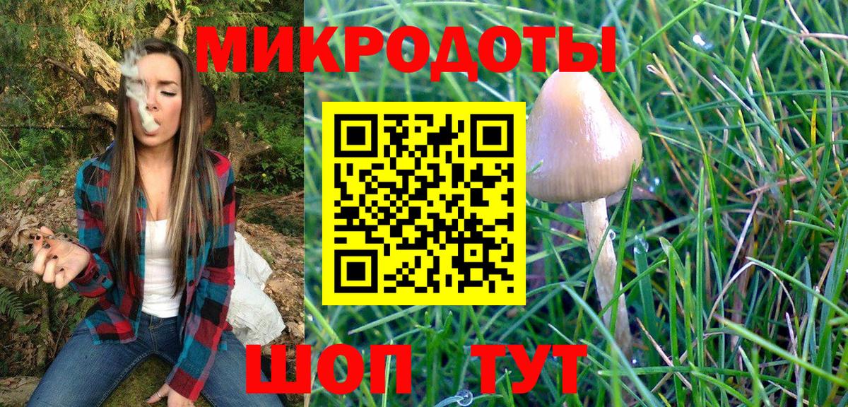 Псилоцибиновые грибы мицелий  Вход с VPN  Псилоцибиновые грибы Cubensis  Сибай 