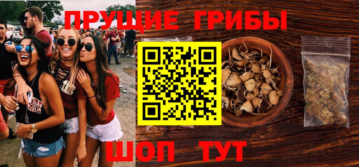 Псилоцибиновые грибы MAGIC MUSHROOMS Сибай